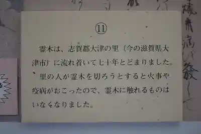 長谷寺(奈良県)