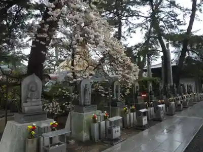 善通寺(香川県)