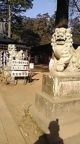 大宝八幡宮の狛犬