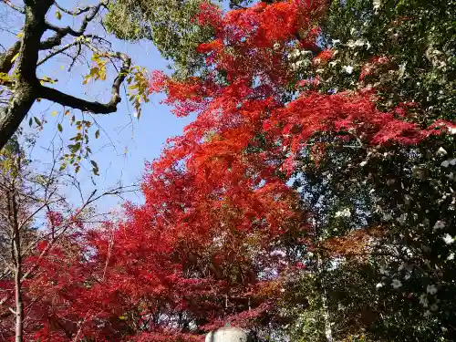 長岡天満宮の自然