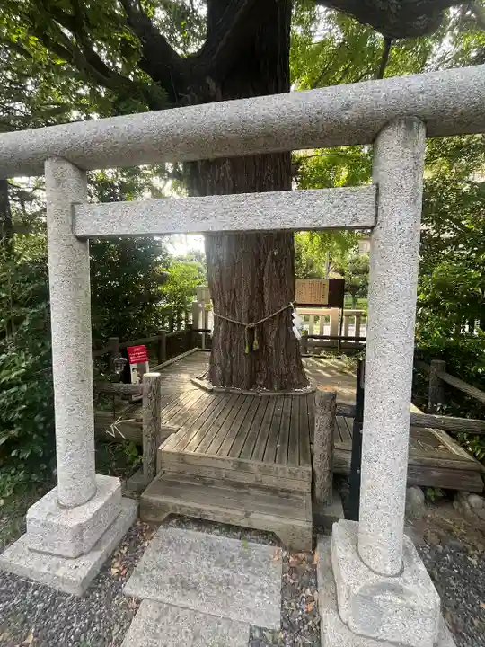 朝日氷川神社(埼玉県)
