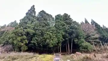 日吉神社(福井県)