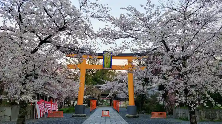 平野神社の鳥居