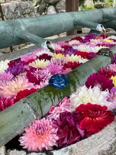 岡寺（龍蓋寺）の手水舎