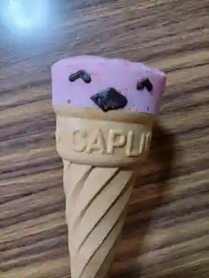 白狐山光星寺(山形県)