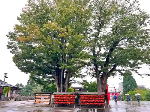 盛岡八幡宮の景色