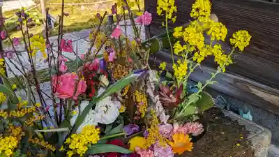 勝林寺(京都府)