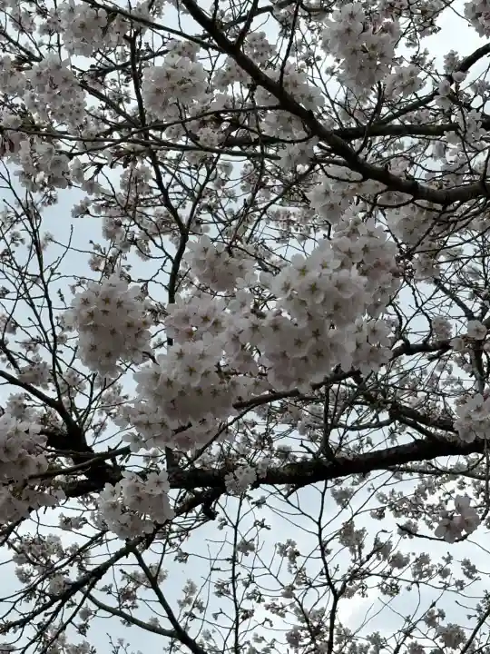 霊山神社(福島県)