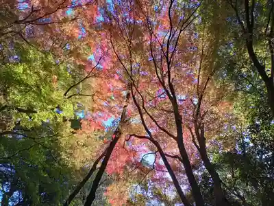 龍尾寺(大阪府)