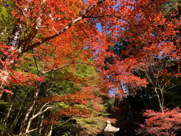 比叡山延暦寺の自然