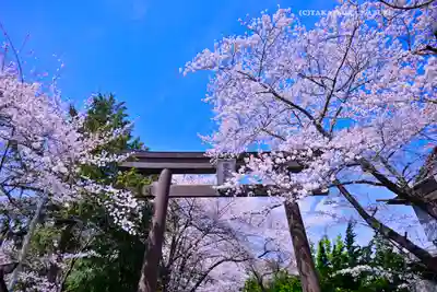 冨士御室浅間神社(山梨県)