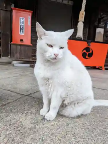 羽黒神社(岡山県)