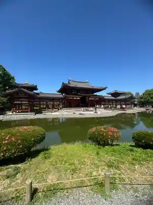 平等院の{uncategorized: "未分類", other: "その他", undefined: "問題あり", building: "その他建物", grave: "お墓", sacred_gate: "鳥居", guardian: "狛犬", statue: "像", buddha: "仏像", history: "歴史", nature: "自然", garden: "庭園", animal: "動物", pagoda: "塔", temizu: "手水舎", mountain_gate: "山門・神門", sanctuary: "本殿・本堂", subordinate: "末社・摂社", art: "芸術", scenery: "景色", jizo: "地蔵", ema: "絵馬", goshuin: "御朱印", omikuji: "おみくじ", items: "授与品その他", amulet: "お守り", goshuincho: "御朱印帳", eats: "食事", festival: "お祭り", votive_dance: "神楽", shichigosan: "七五三参", wedding: "結婚式", experience: "体験その他", initially: "初詣", around: "周辺", anti_infection: "感染症対策"}