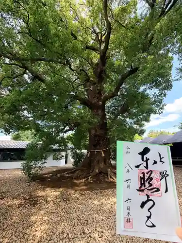上野東照宮(東京都)
