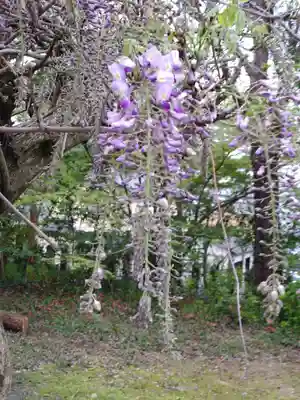 疋野神社(熊本県)