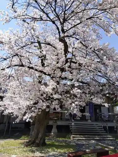妙経寺(福井県)
