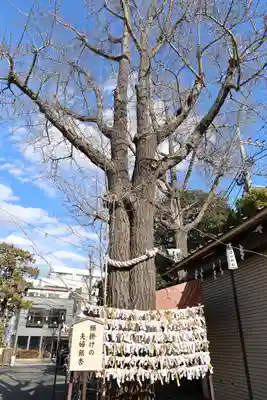溝口神社(神奈川県)