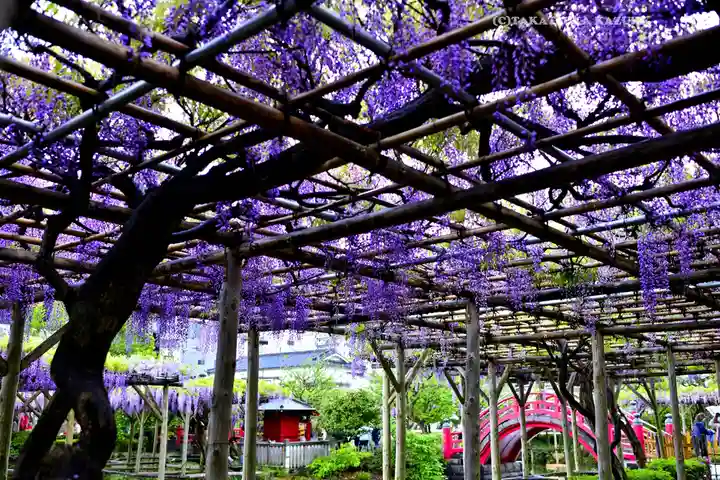 亀戸天神社(東京都)