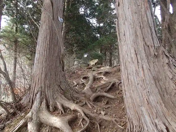 武蔵御嶽神社奥の院の自然