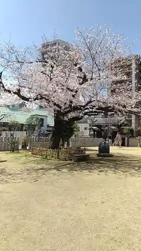 高野山東京別院(東京都)