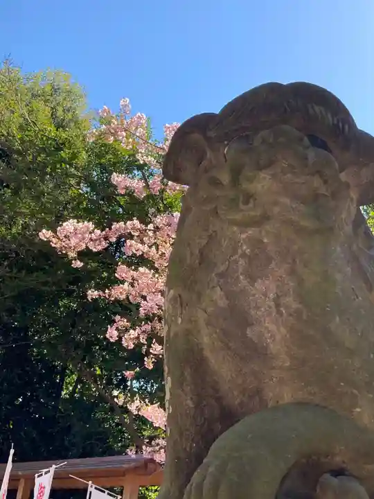 中山神社(埼玉県)
