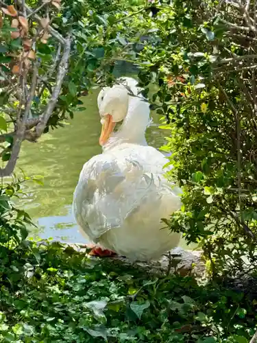 神泉苑(京都府)