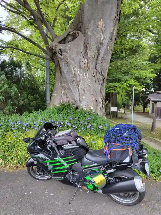 清池八幡神社(山形県)