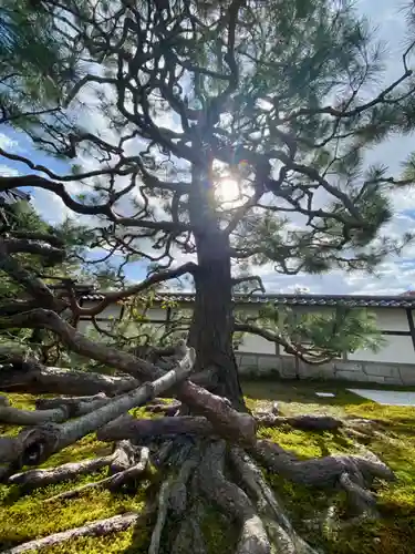 久昌院(京都府)