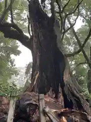 都萬神社(宮崎県)