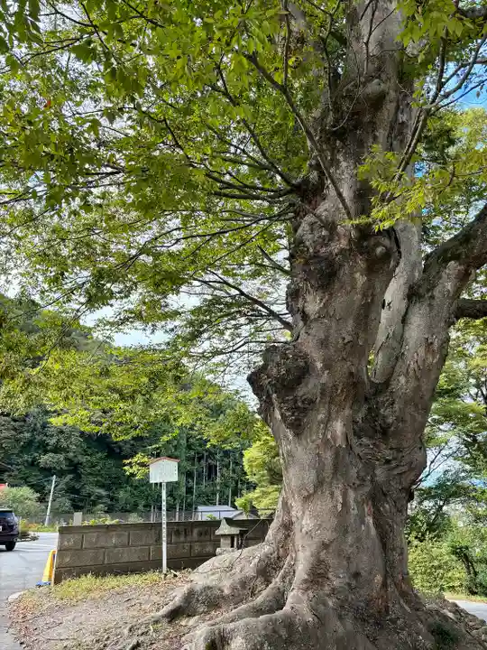 諏訪大社上社前宮(長野県)