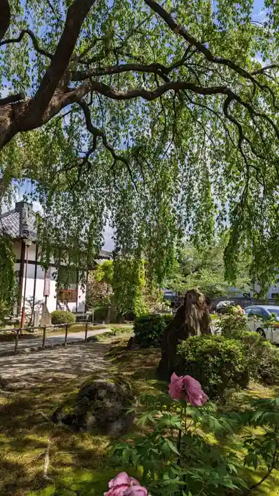 本満寺(本願満足寺)(京都府)