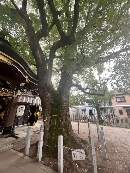 石津神社(大阪府)