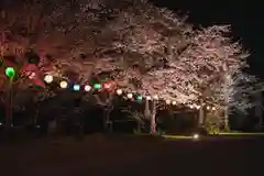 川田八幡神社の自然