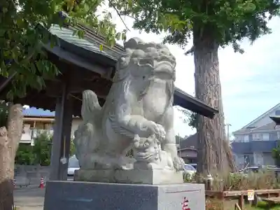 杉山社(上星川鎮守)の狛犬