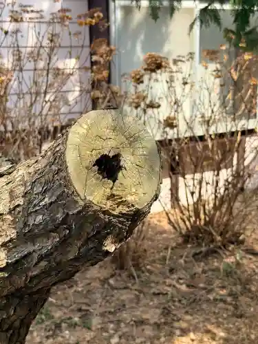 海神社の{uncategorized: "未分類", other: "その他", undefined: "問題あり", building: "その他建物", grave: "お墓", sacred_gate: "鳥居", guardian: "狛犬", statue: "像", buddha: "仏像", history: "歴史", nature: "自然", garden: "庭園", animal: "動物", pagoda: "塔", temizu: "手水舎", mountain_gate: "山門・神門", sanctuary: "本殿・本堂", subordinate: "末社・摂社", art: "芸術", scenery: "景色", jizo: "地蔵", ema: "絵馬", goshuin: "御朱印", omikuji: "おみくじ", items: "授与品その他", amulet: "お守り", goshuincho: "御朱印帳", eats: "食事", festival: "お祭り", votive_dance: "神楽", shichigosan: "七五三参", wedding: "結婚式", experience: "体験その他", initially: "初詣", around: "周辺", anti_infection: "感染症対策"}