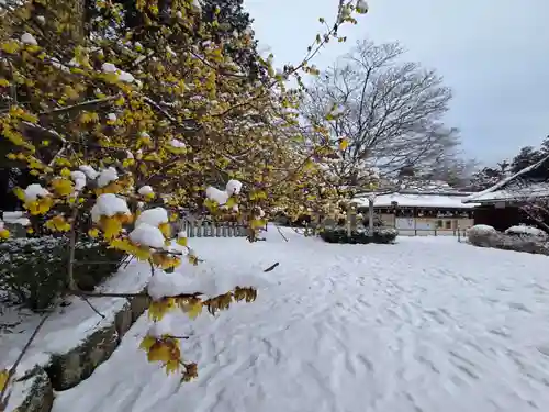 沙沙貴神社(滋賀県)