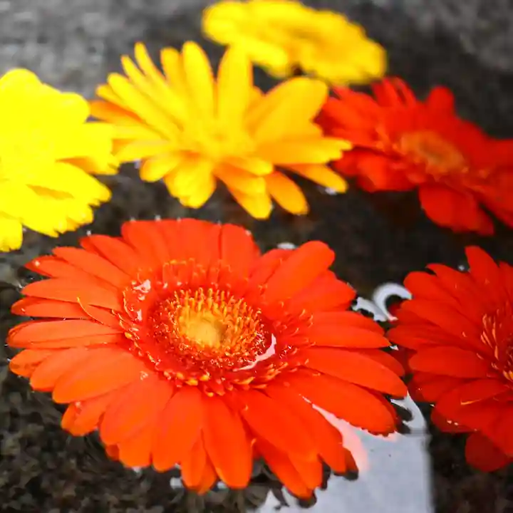 三津厳島神社の手水舎