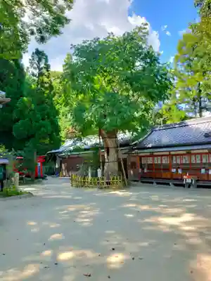 葛城一言主神社(奈良県)