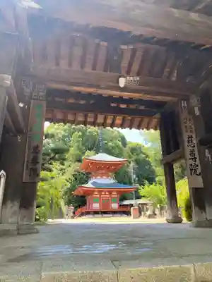 慈尊院の山門・神門