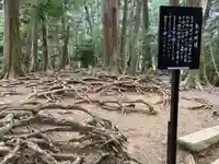 鞍馬寺(京都府)