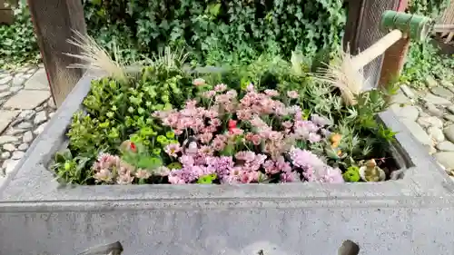 於菊稲荷神社(群馬県)