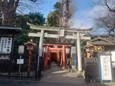花園稲荷神社の鳥居