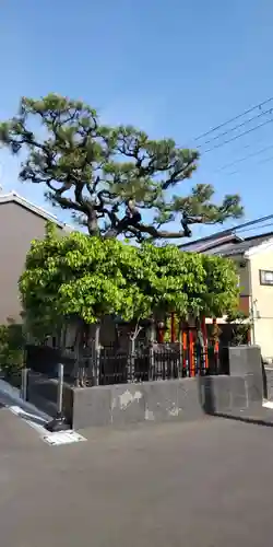 正一位稲荷大神神社(京都府)