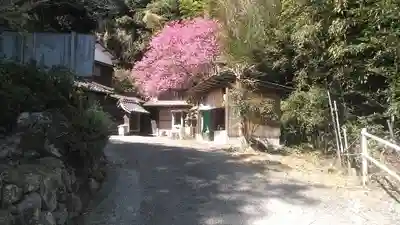 長谷寺のその他建物
