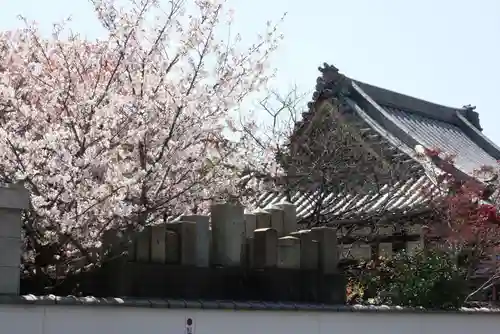 日蓮宗 安楽寺のその他建物