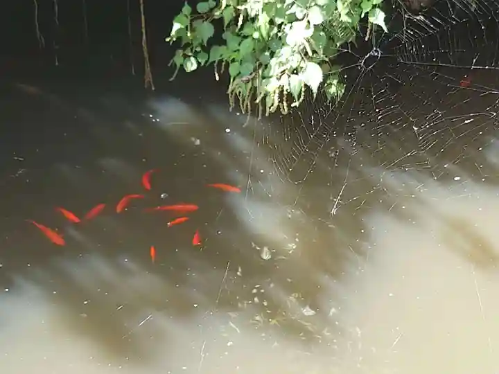 銭洗弁財天宇賀福神社(神奈川県)