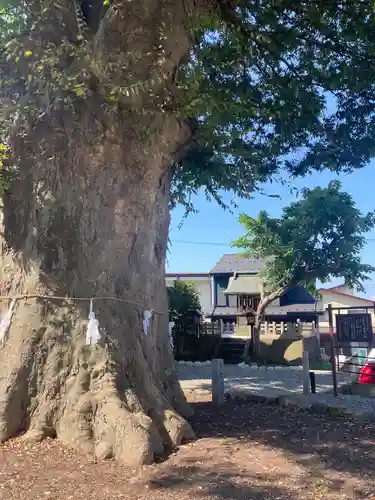 諏訪大社下社秋宮(長野県)