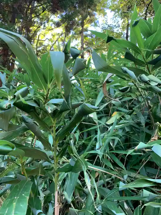 常陸第三宮 吉田神社の庭園