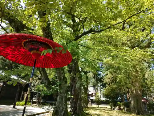 守りの神　藤基神社の{uncategorized: "未分類", other: "その他", undefined: "問題あり", building: "その他建物", grave: "お墓", sacred_gate: "鳥居", guardian: "狛犬", statue: "像", buddha: "仏像", history: "歴史", nature: "自然", garden: "庭園", animal: "動物", pagoda: "塔", temizu: "手水舎", mountain_gate: "山門・神門", sanctuary: "本殿・本堂", subordinate: "末社・摂社", art: "芸術", scenery: "景色", jizo: "地蔵", ema: "絵馬", goshuin: "御朱印", omikuji: "おみくじ", items: "授与品その他", amulet: "お守り", goshuincho: "御朱印帳", eats: "食事", festival: "お祭り", votive_dance: "神楽", shichigosan: "七五三参", wedding: "結婚式", experience: "体験その他", initially: "初詣", around: "周辺", anti_infection: "感染症対策"}