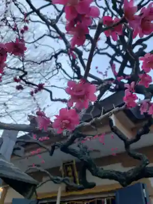 穏田神社(東京都)
